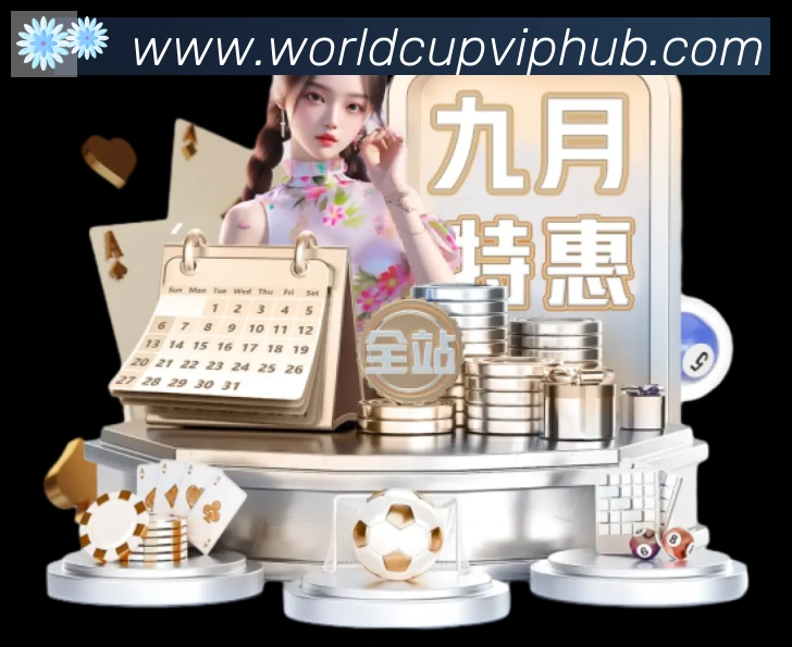 未来规划